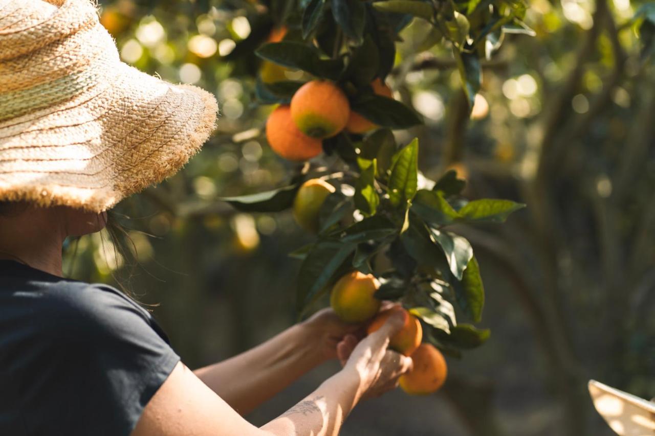 Santo Isidoro Quinta Raposeiros 아파트 외부 사진