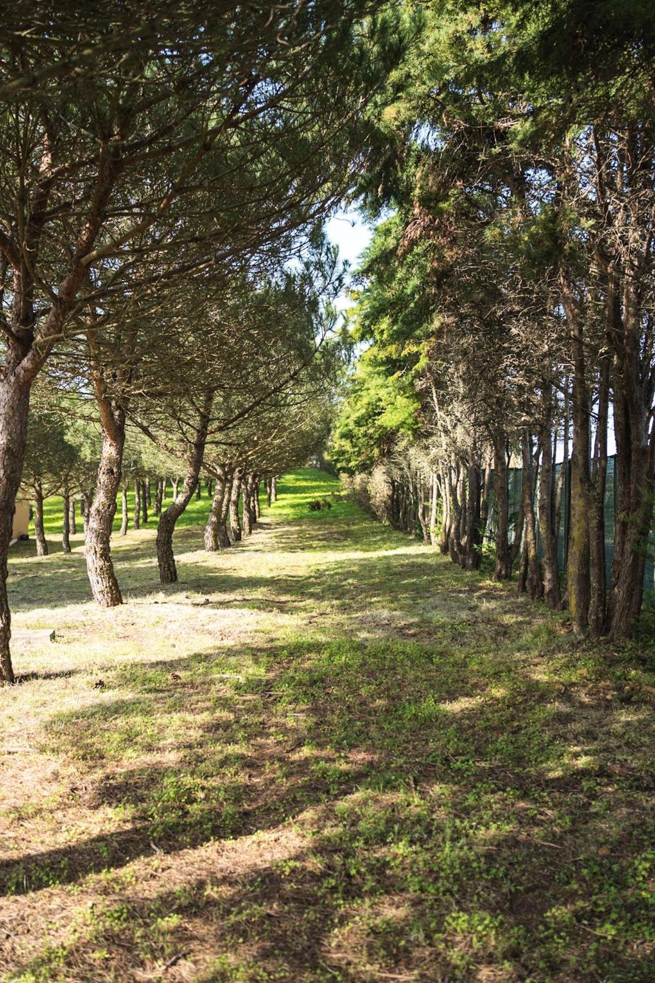 Santo Isidoro Quinta Raposeiros 아파트 외부 사진
