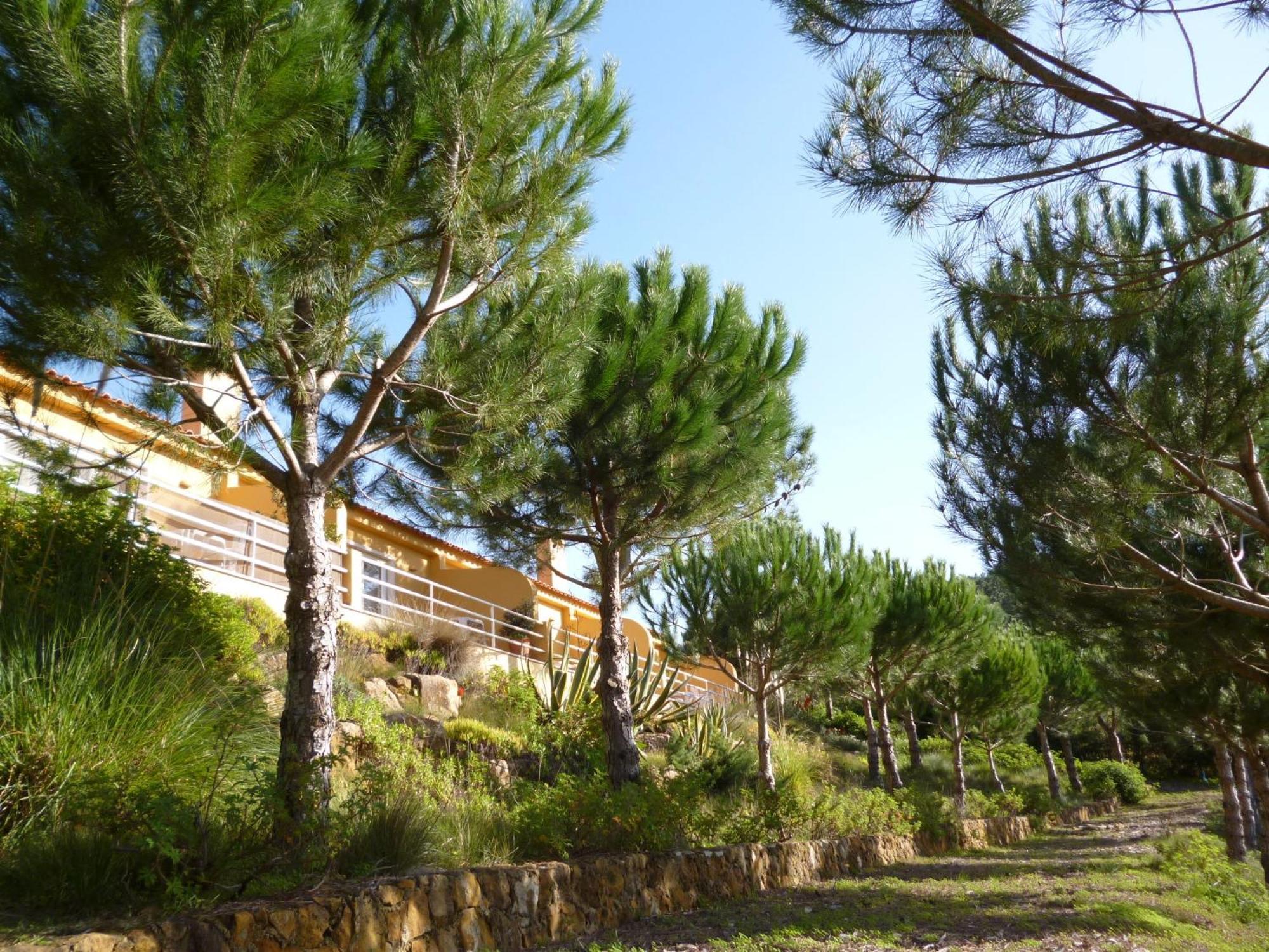 Santo Isidoro Quinta Raposeiros 아파트 외부 사진